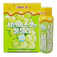 샤인머스캣맛 꿀젤리 110g
